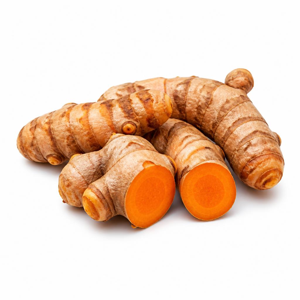 Rhizome de curcuma (Curcuma longa)