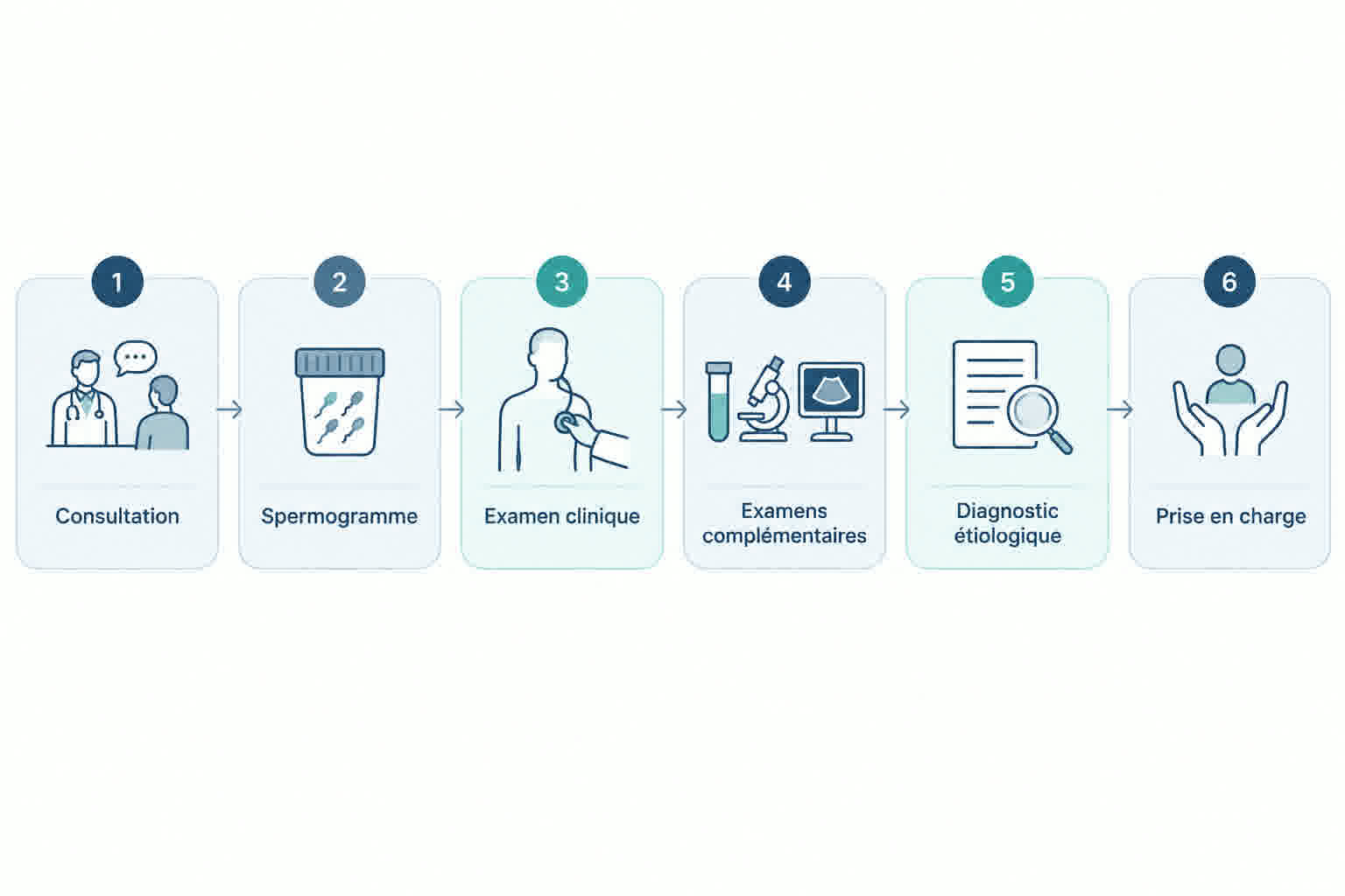 Schéma du parcours diagnostique de l'infertilité masculine en six étapes : consultation, spermogramme, examen clinique, examens complémentaires, diagnostic étiologique et prise en charge.