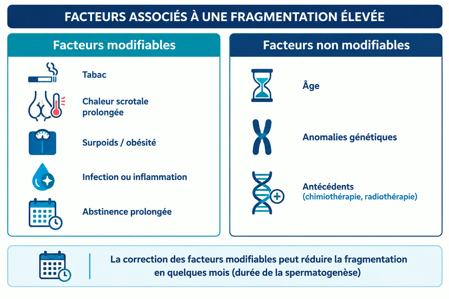 Infographie des facteurs associés à une fragmentation élevée de l'ADN spermatique : facteurs modifiables (tabac, chaleur scrotale, surpoids, infection, abstinence prolongée) et non modifiables (âge, anomalies génétiques, antécédents de chimiothérapie ou radiothérapie).