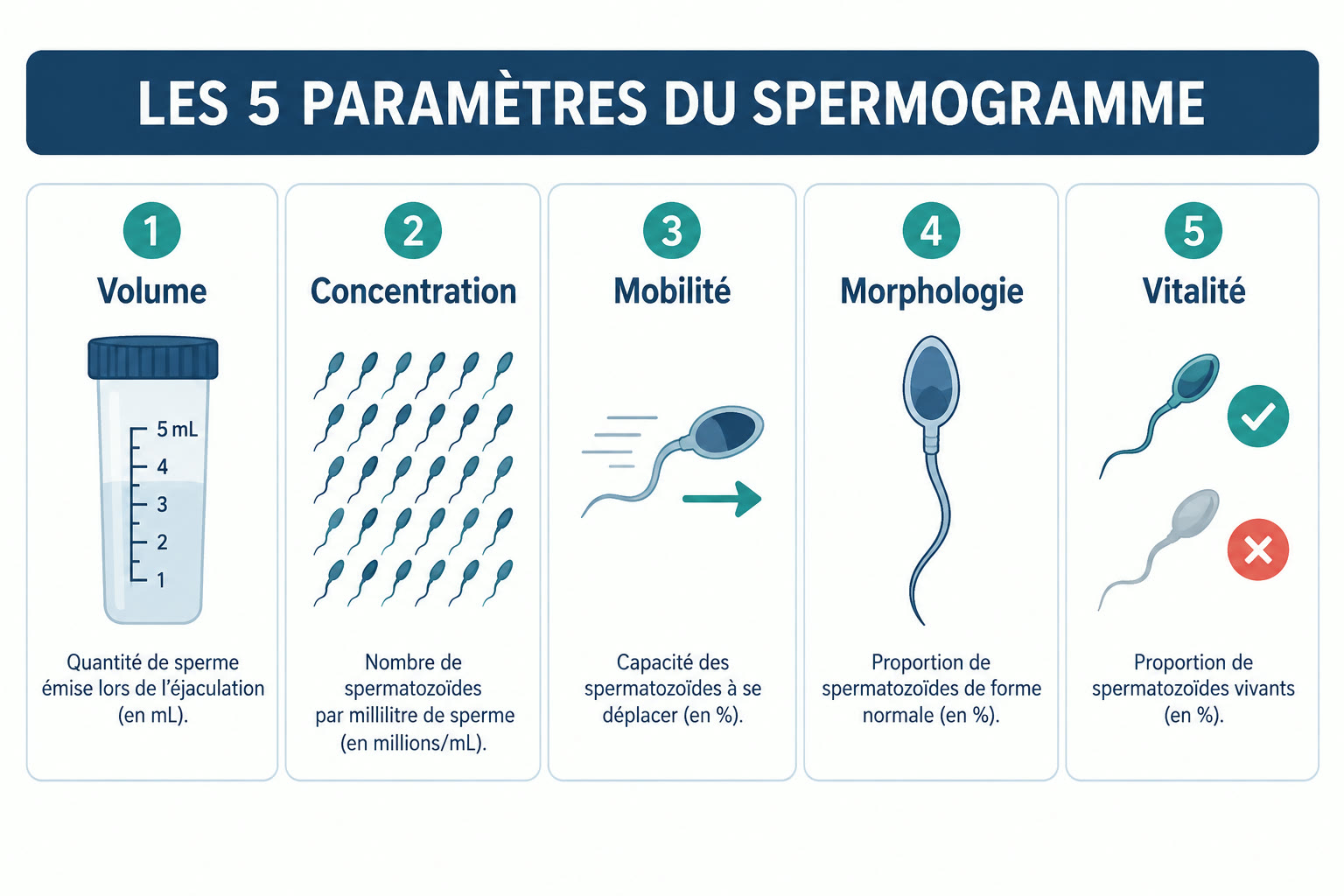 Infographie des cinq paramètres du spermogramme : volume en millilitres, concentration en millions par millilitre, mobilité en pourcentage, morphologie en pourcentage de formes normales, vitalité en pourcentage de spermatozoïdes vivants.