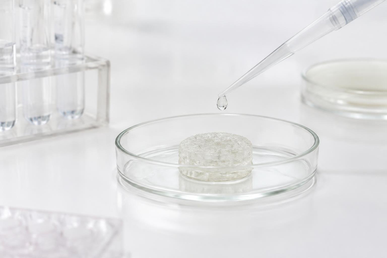 Représentation réaliste d’une boîte de culture contenant un petit support translucide et d’une pipette dans un laboratoire blanc.